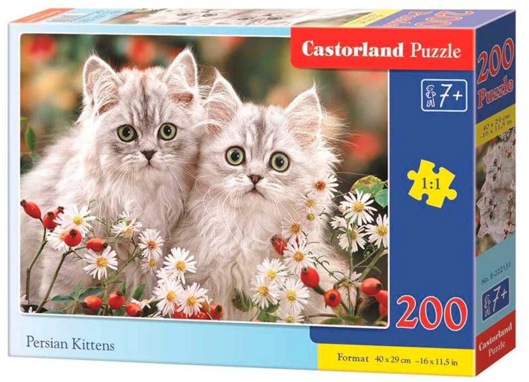 e45e08b05972e42e8753c52428a63b71