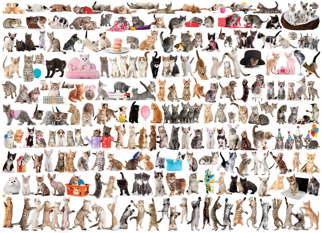 5a3a556f619682a2e88cd89ff4386b4c
