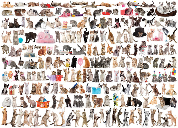 5a3a556f619682a2e88cd89ff4386b4c