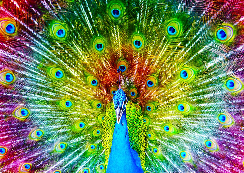 72b7f521855d855aae4b07fd34e30af9