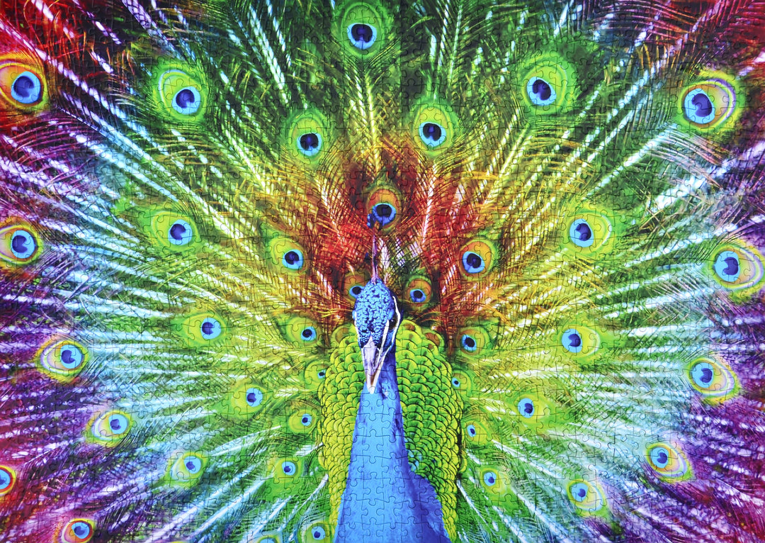 89982491527e4d321557129ef6741675