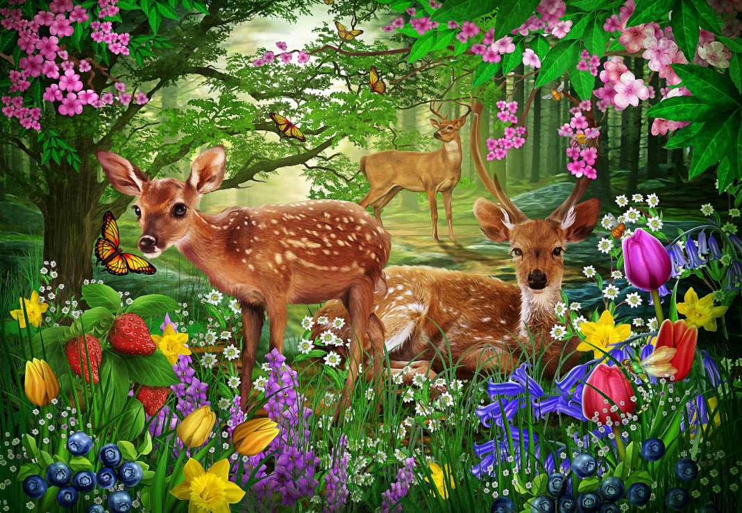 62a3d57f014ee011003eb39d806416a0