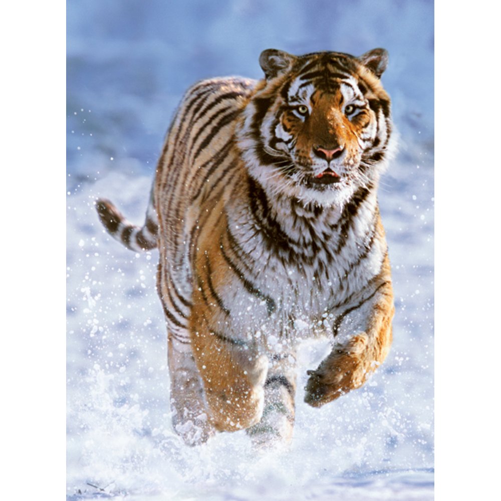 158d1e51cd1a25c1e1eb4768c64b3797
