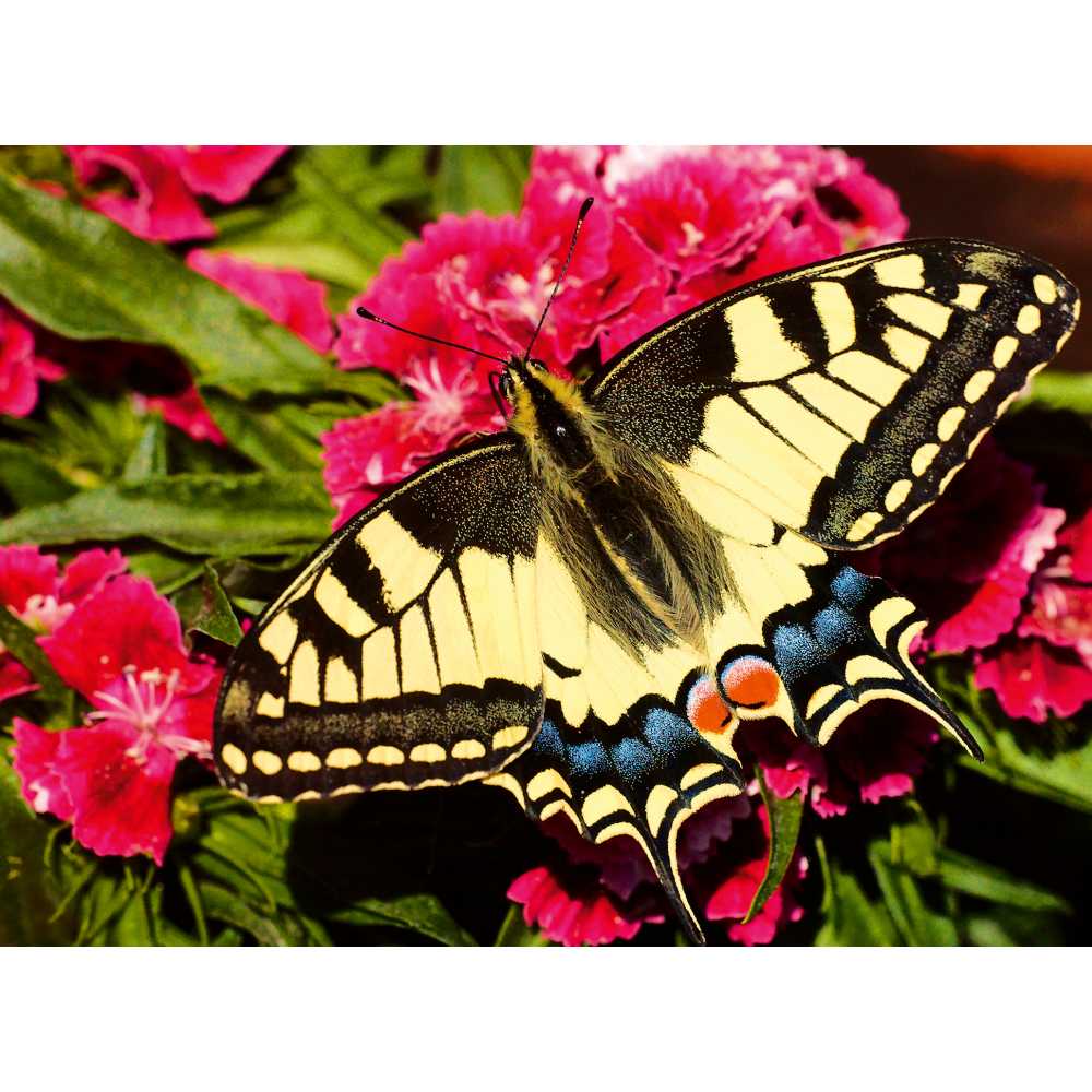 4c1ea4275e483336af0d151ae176f600