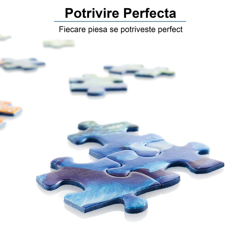 8b77131609a8cbdee89d7e17bc483d9a