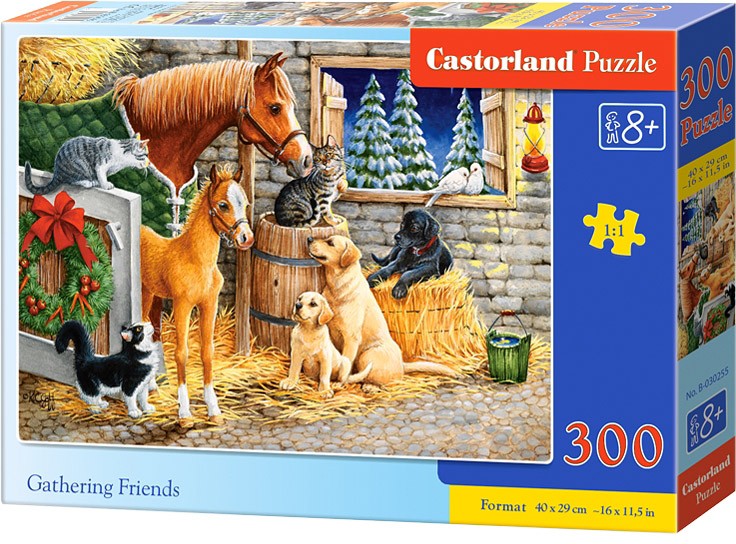 a3f9fff42f3d07c58571ad3098ed66e1