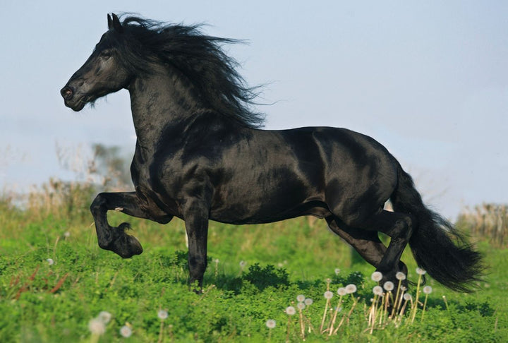 0fe228c6b0aee7c4c6e78f87a8e540b5