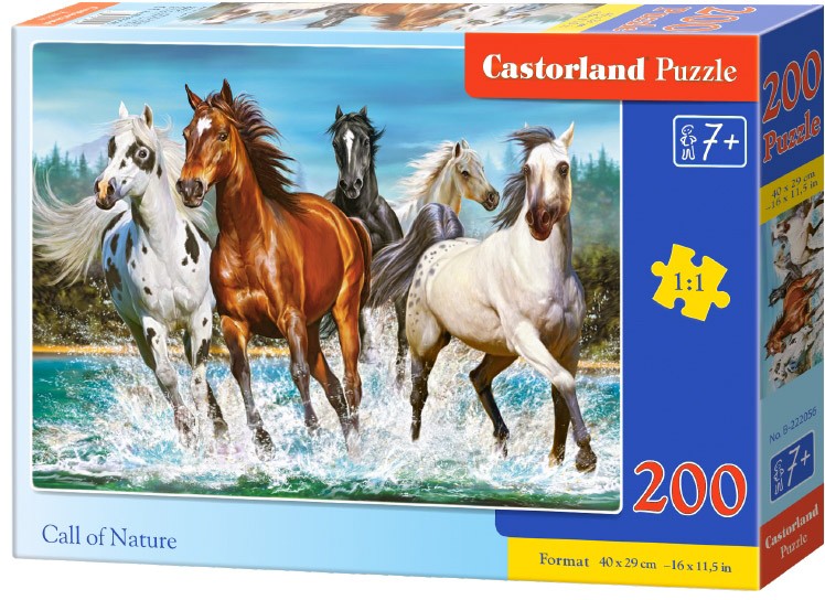850ccac8b1cabd27312f50e64ecd3456