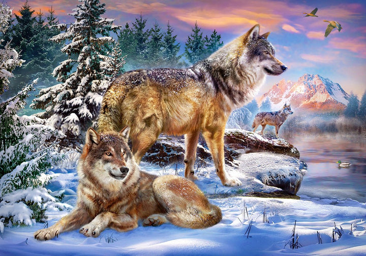 fce9ddbe53b517f16e9785cadcc19514
