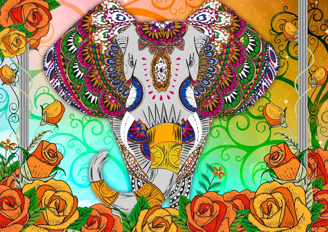 5c6d86096824bb43066f40bb48ece41c